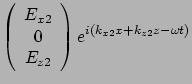 $\displaystyle \left( \begin{array}{c} E_{x2} \\  0 \\  E_{z2}
\end{array}\right)
e^{ i(k_{x2}x + k_{z2}z- \omega t)}$