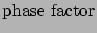 $\displaystyle {\rm phase \ factor}$